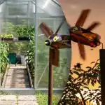 Eén apparaat tegen spreeuwen en mollen: een eenvoudige oplossing voor